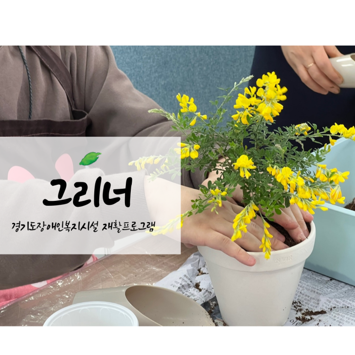 13afb872566263ab69cbb0b741d290d4.png